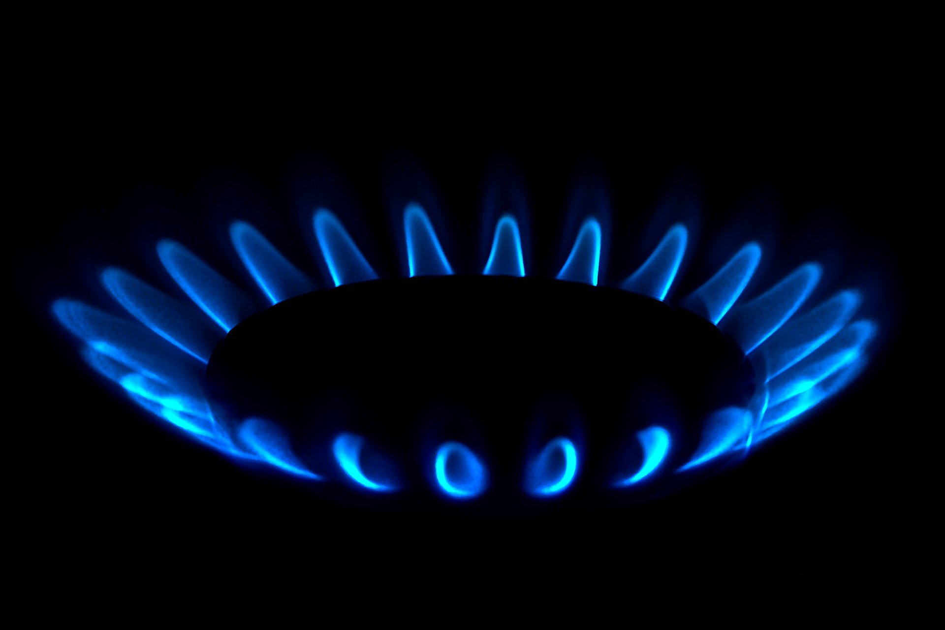 Pcnaid Natural Gas Therms Booked and Provided Image